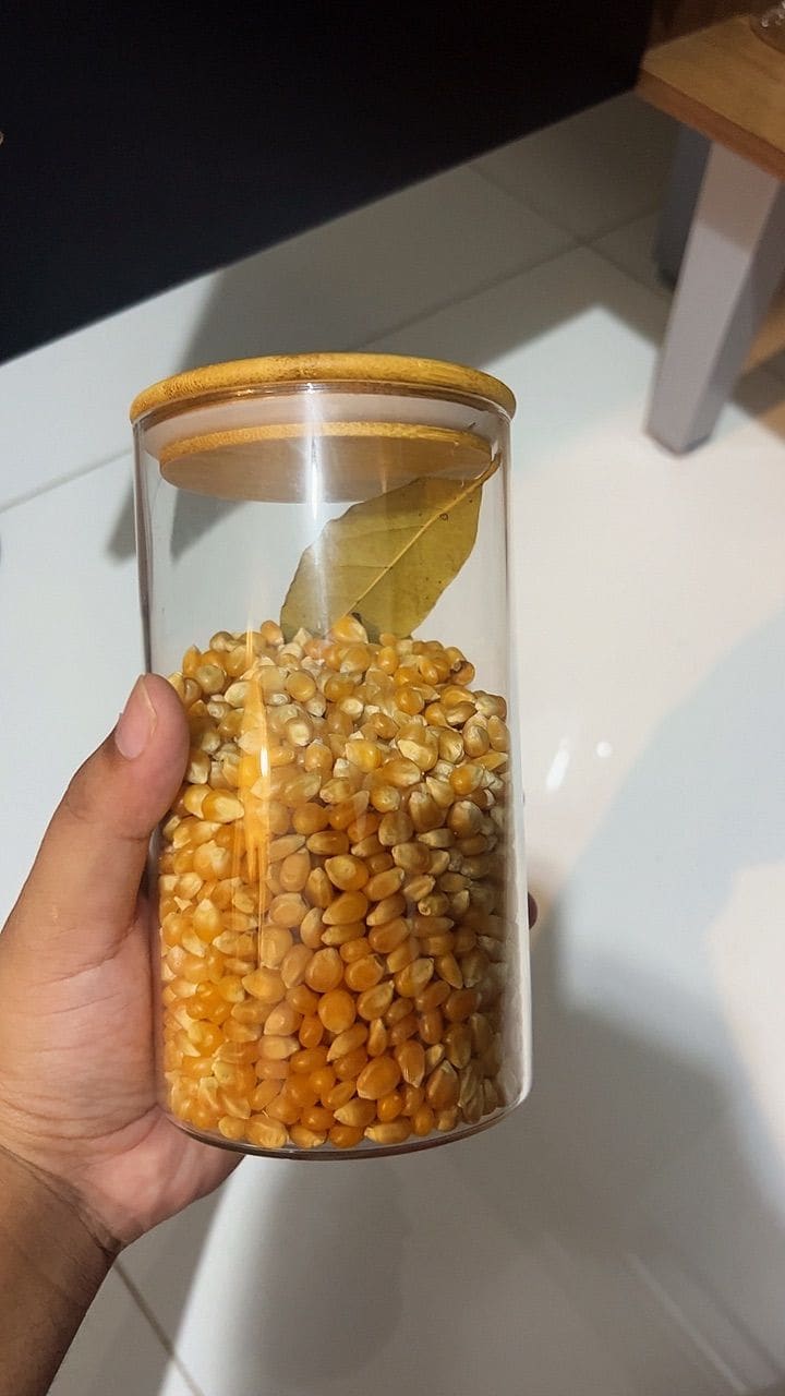 Imagem 4 da avaliação de Elisa Barros